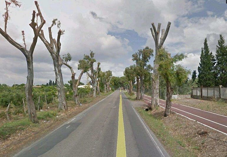 Rotatorie e pista ciclabile tra Elmas, Assemini e Decimo: nuovo look per l’ex Sulcitana