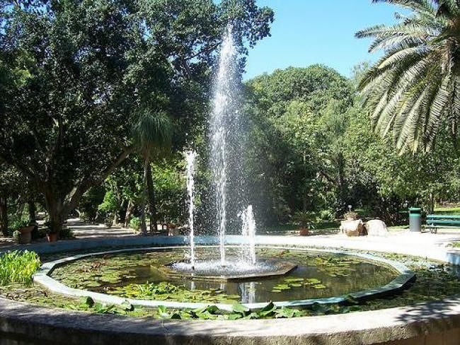 L’Orto Botanico dell’Università di Cagliari amplia l’orario: apertura continuata fino alle 20