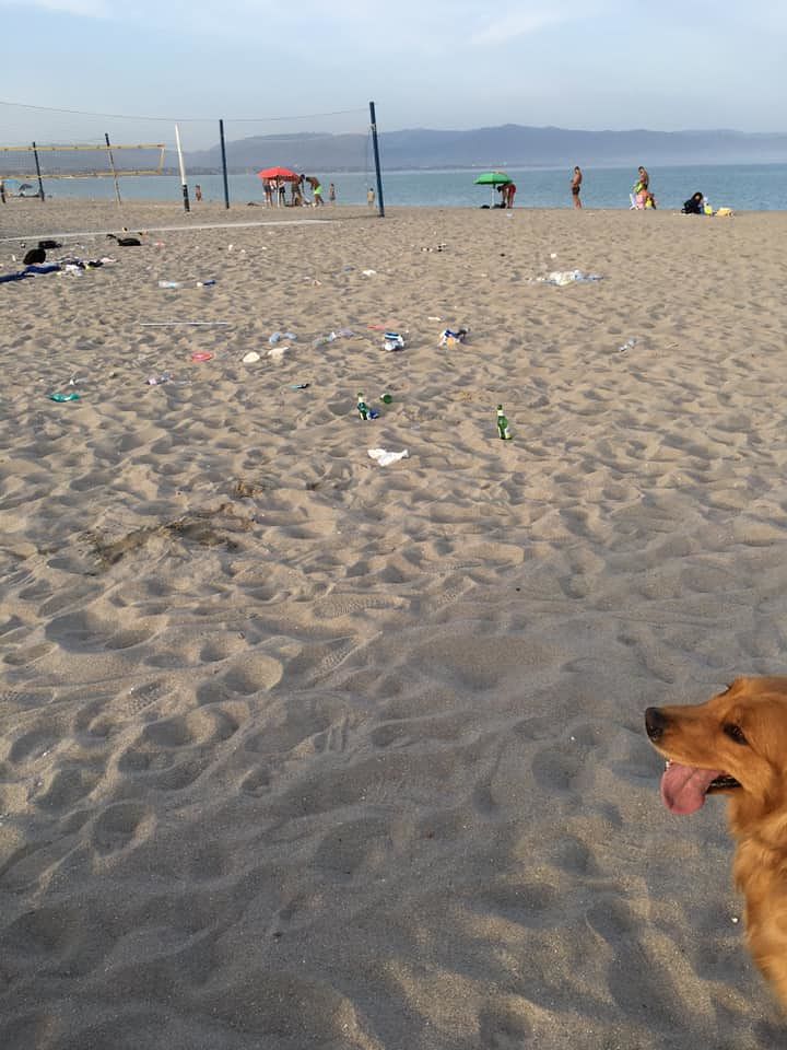 Poetto, spiaggia deturpata dai rifiuti degli incivili: “Non era colpa dei cani?”