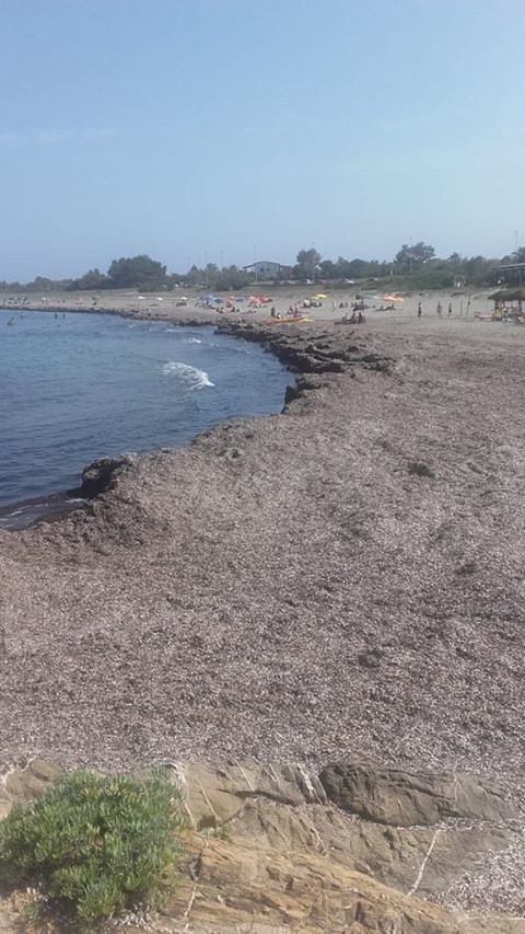 Porto Corallo, la denuncia dei bagnanti: “Acque nere a mare, i turisti filmavano tutto…”