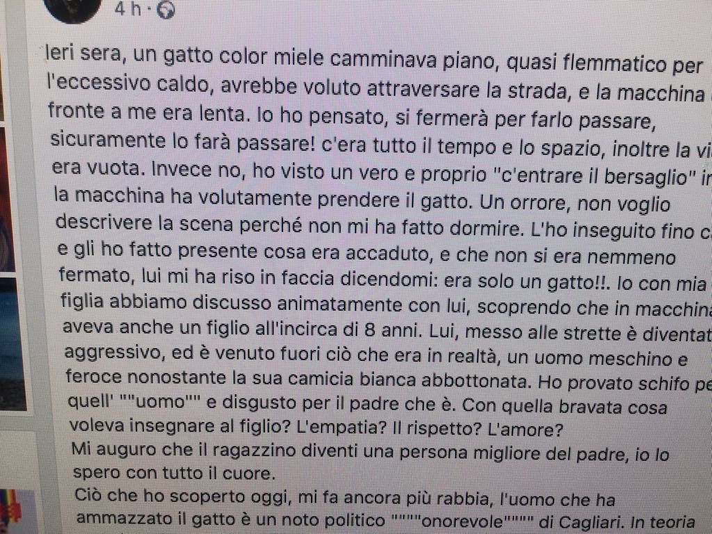 “Is Molas, un gatto investito nella notte e ucciso da un noto onorevole cagliaritano che non si scusa…”