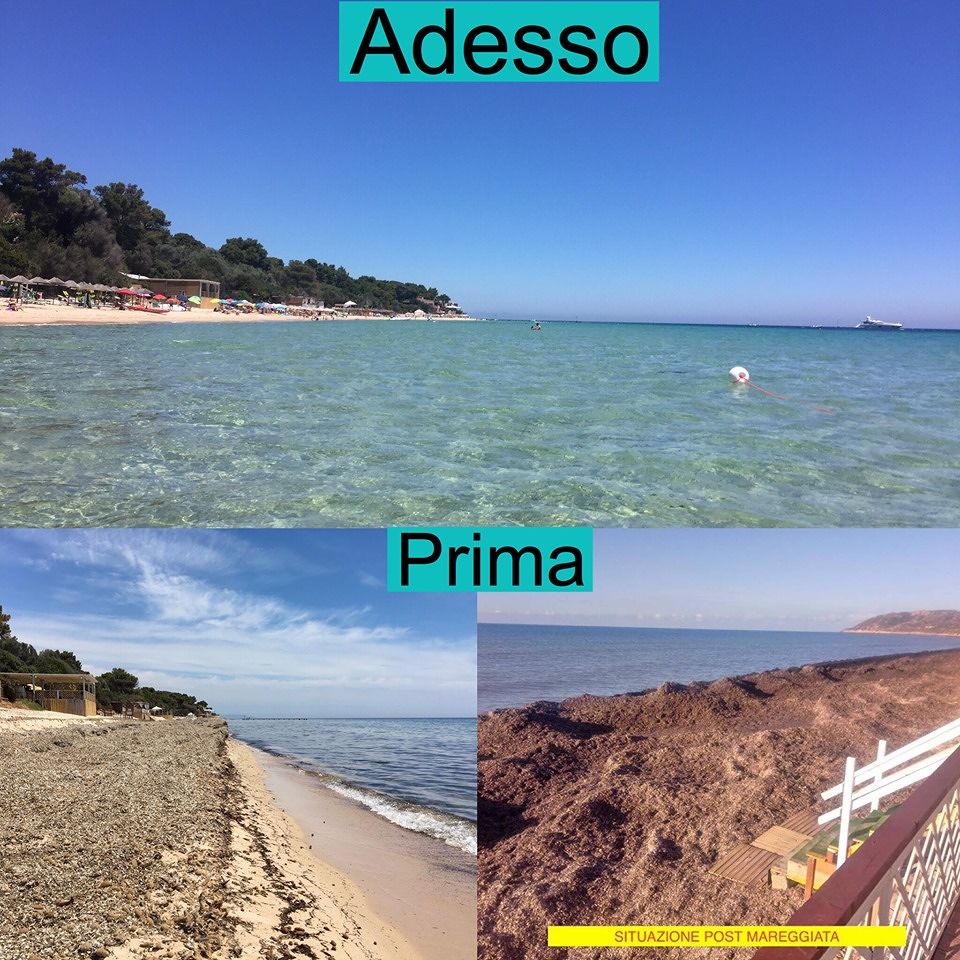 Pula liberata dalle alghe: risorsa o flagello? “Pulizia straordinaria, ma impegniamoci tutti per non lasciare rifiuti nelle spiagge”