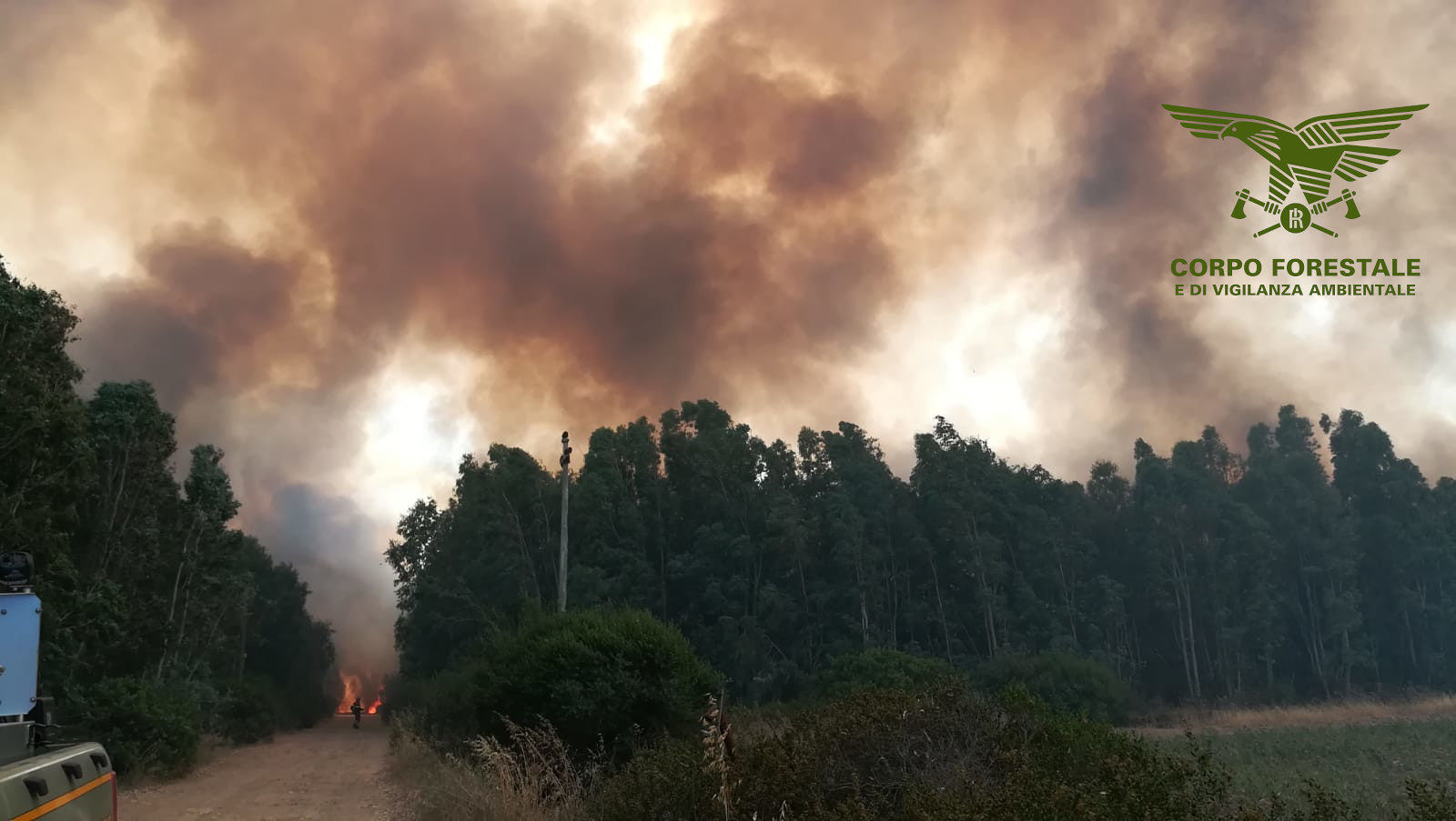 L’Isola brucia, sono almeno sei i roghi di oggi: il lavoro enorme dei forestali