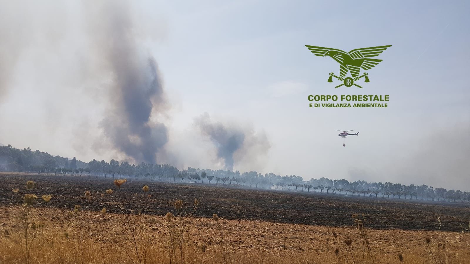 Due incendi in corso a Pula e Villanova Monteleone: in azione anche il super puma