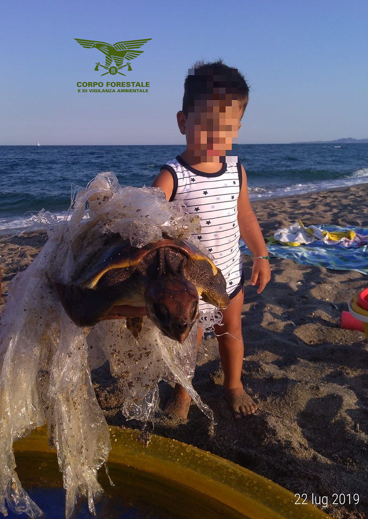 Villaputzu, bimbo eroico salva in spiaggia una tartaruga marina minacciata dalla plastica