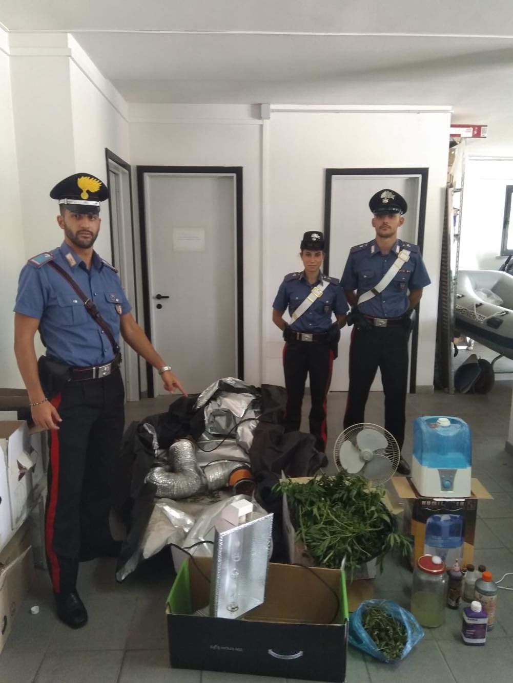 Carbonia, in casa una serra di marijuana con 21 piante: nei guai 24enne