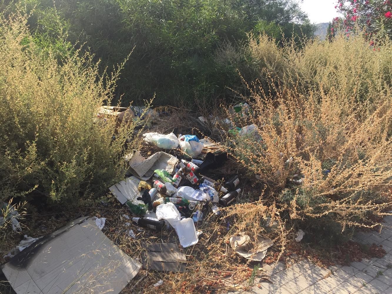 Degrado a Cagliari, dalla vegetazione spunta una mini discarica: lo scempio è servito