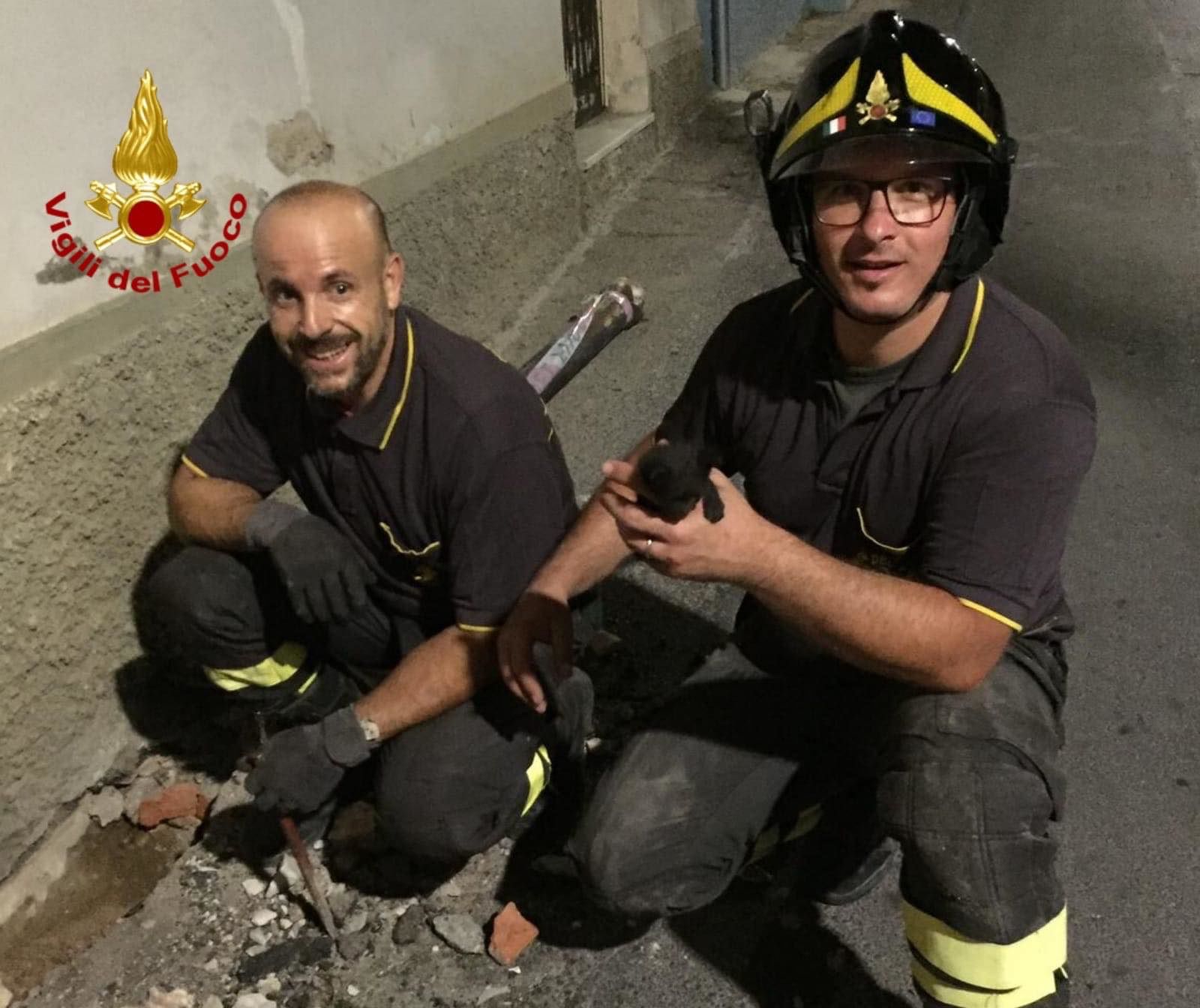 Iglesias, lieto fine per un gattino rimasto incastrato in un tubo di scarico: salvato dai vigili