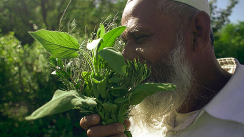 Cagliari, “Le erbe di San Giovanni in città”: laboratorio etnobotanico itinerante