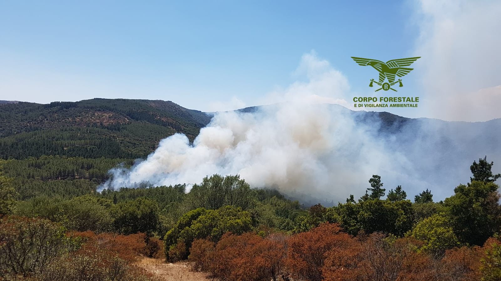 Maxi incendio a Vallermosa, in azione due Canadair: le fiamme minacciano un campo con 200 scout