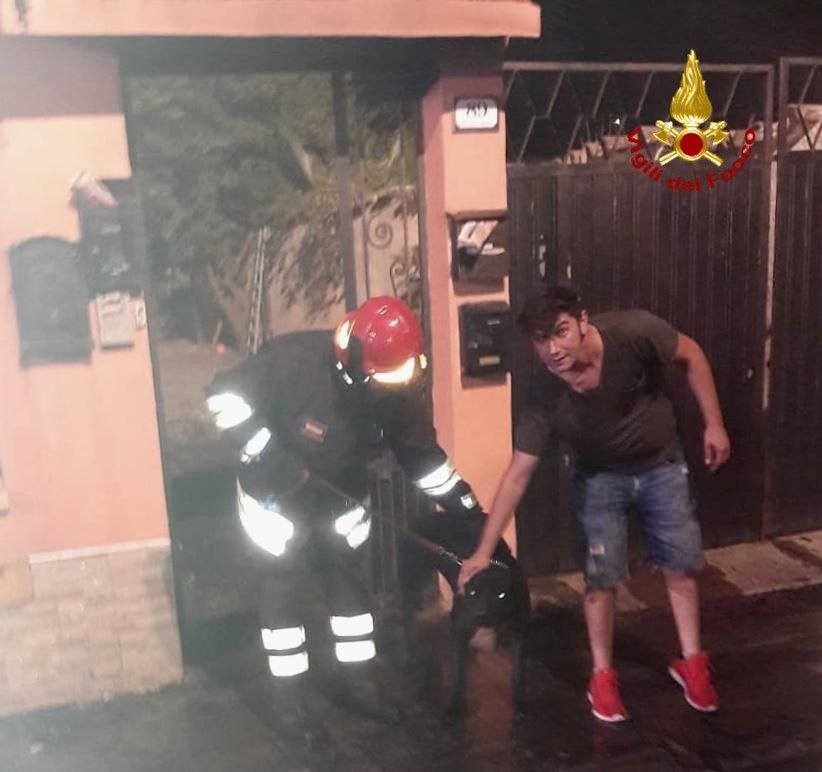 Sestu, i Vigili del fuoco salvano un cane intrappolato tra le fiamme di via Ottaviano Augusto