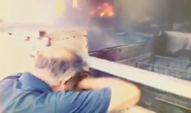 Dopo l’inferno di fuoco a Siniscola l’orrore: la disperazione di un allevatore che ha perso tutto