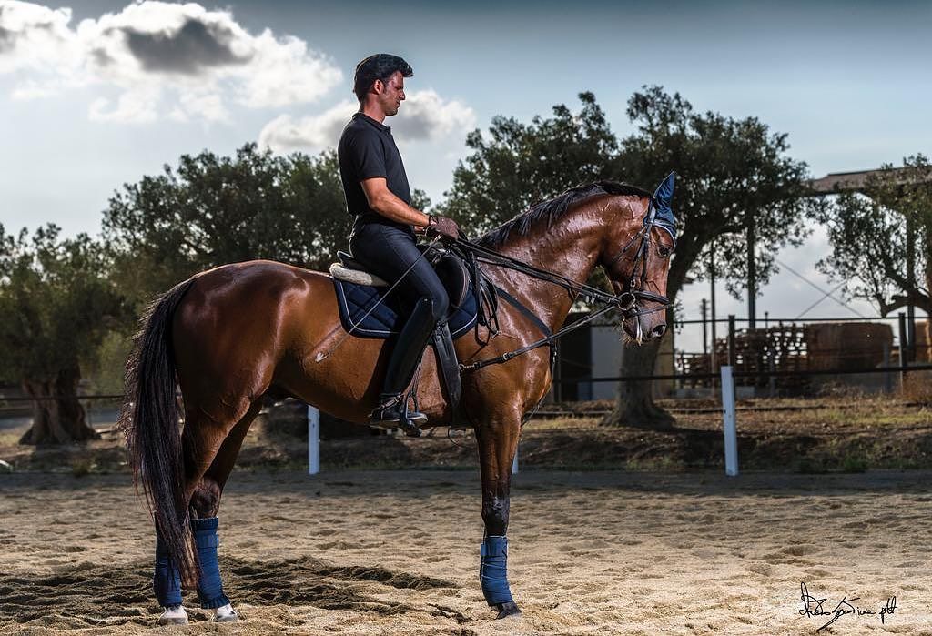 Stage di Dressage e Lavoro in Piano con il cavaliere José Manuel Rosado Gomez