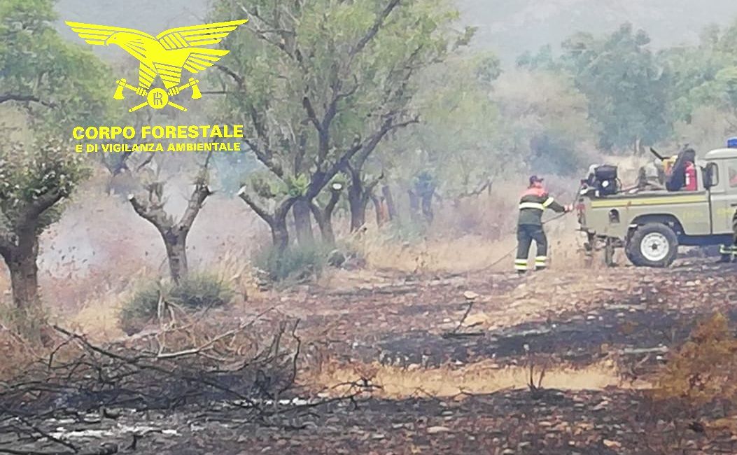 Vasto incendio a Illorai, brucia la macchia mediterranea a Rio Talei