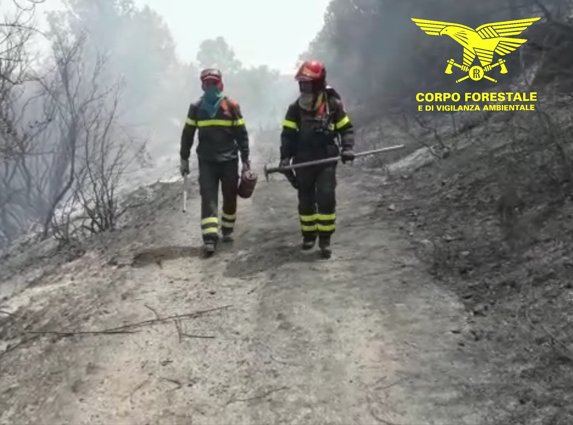 I roghi non danno tregua alla Sardegna: oggi diciotto incendi
