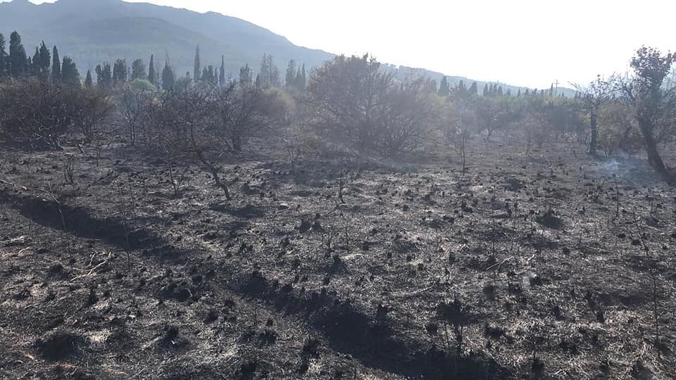 Maxi incendio a Santa Margherita, paura ad Agumu: “Vigliacchi e barbari, non siete balentes ma imbecilli”