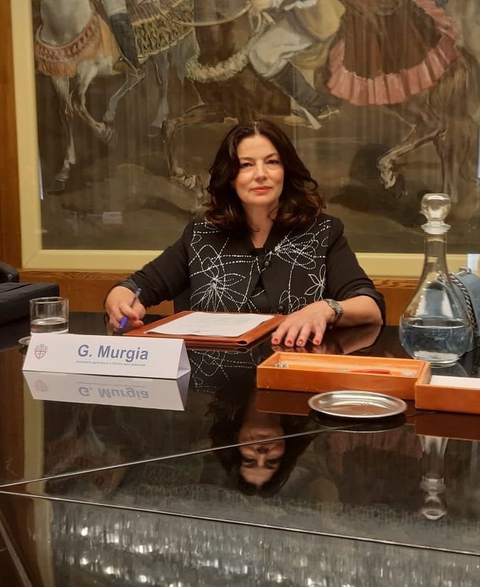 Sardegna, danni causati da cormorani e cornacchie: arrivano i soldi per i risarcimenti