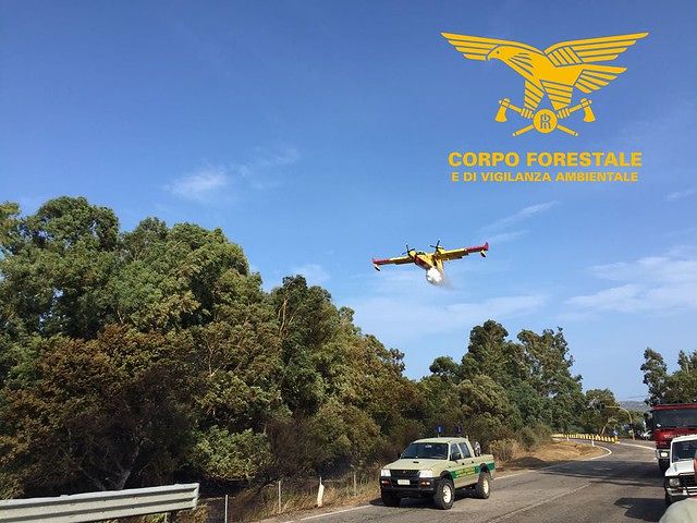 Sardegna, cinque vasti incendi in corso: il forte vento alimenta le fiamme