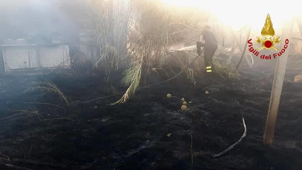 Incendio a Donori, in fiamme canneti e sterpaglie: i vigili proteggono le abitazioni