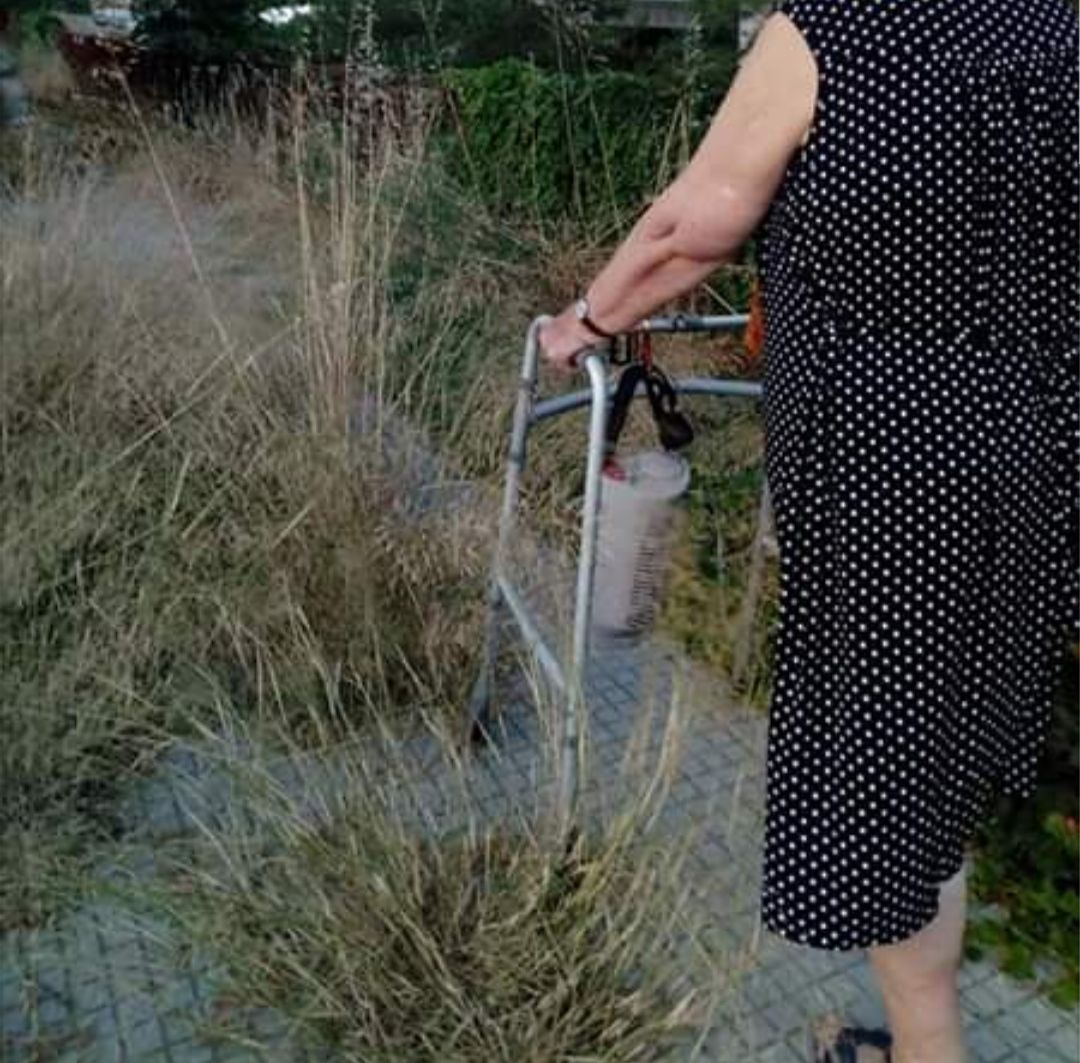 Marciapiedi invasi da erbacce, residenti in rivolta a Nuoro