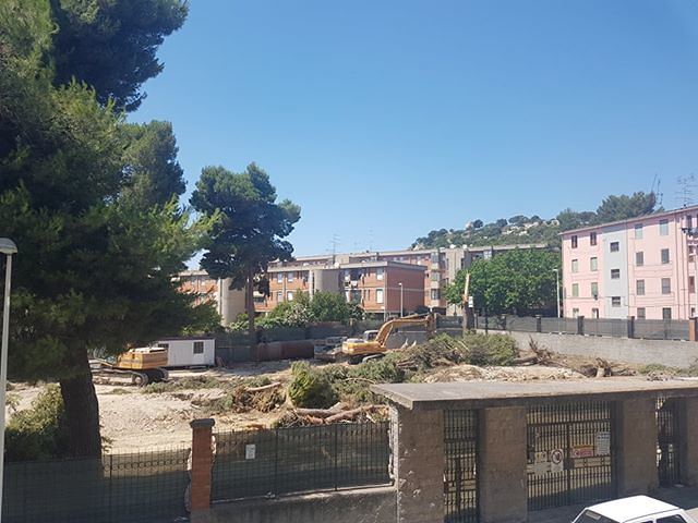 Via Flumentepido, le ruspe buttano giù il verde della scuola per realizzare due palazzine: “Peccato però per gli storici pini…”