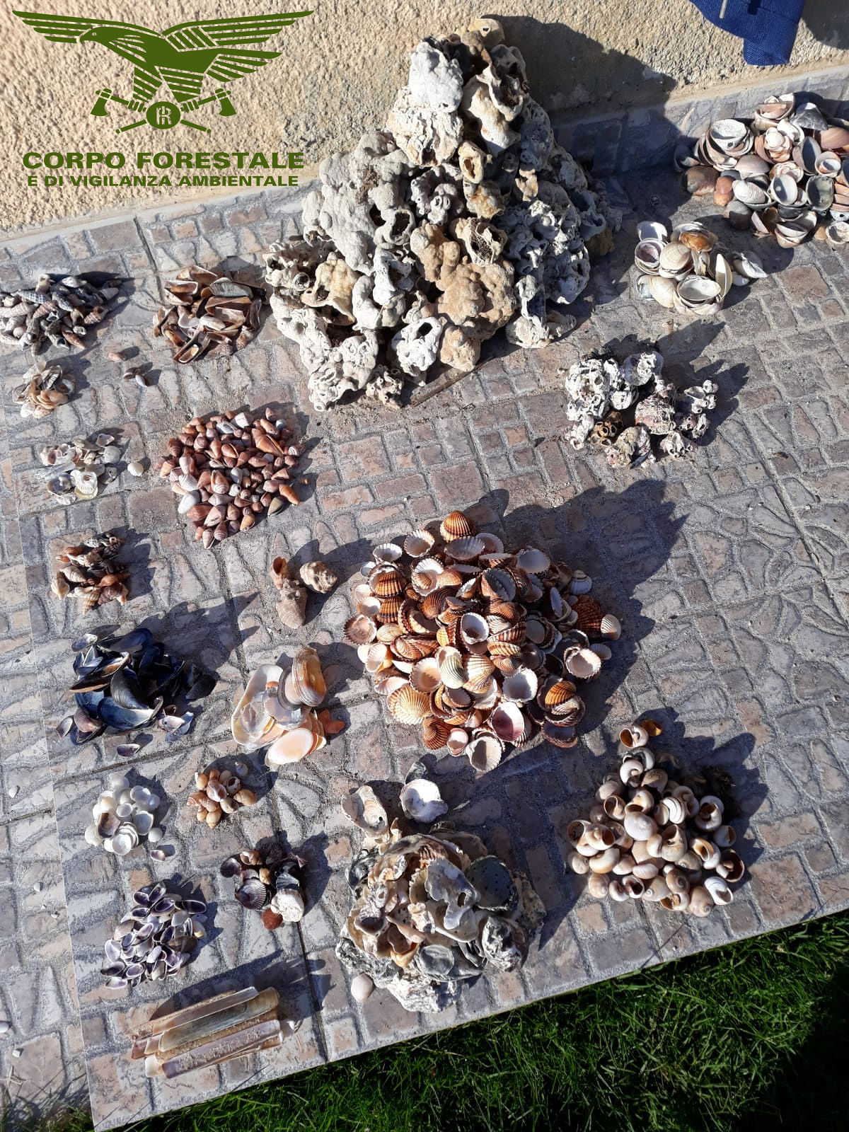 Pula, turista tedesco custodiva nel cortile tre kg di pietre e conchiglie delle nostre spiagge: multato