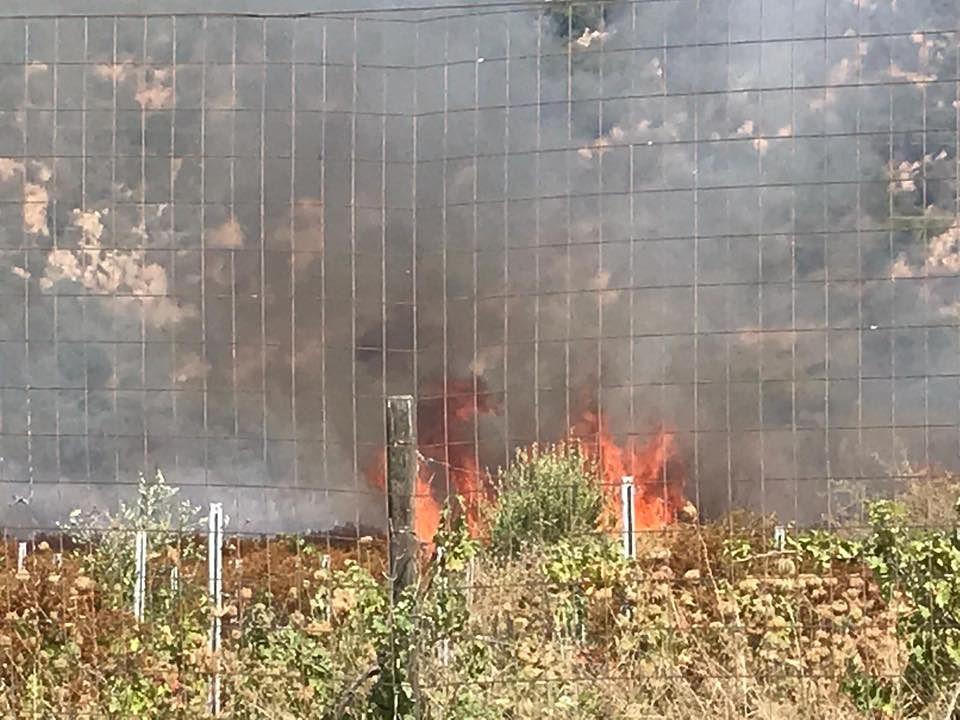 Vasto incendio a Pula, la sindaca: “Rispettiamo la natura, incendiare è da vigliacchi”