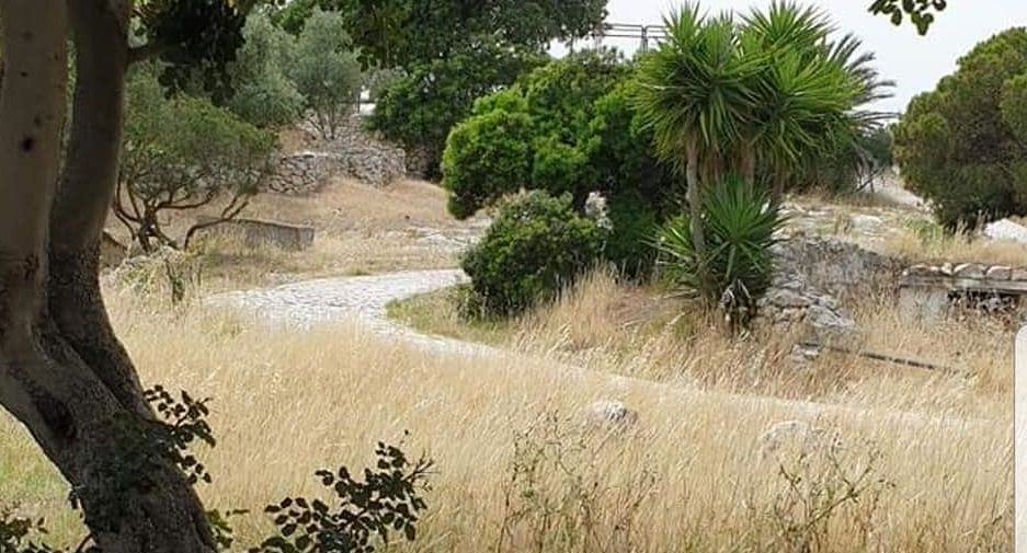 Cagliari, chiusi  “Fattoria” e “Pashà”: “Senza movida a Monte Urpinu abbandono e spazzatura”