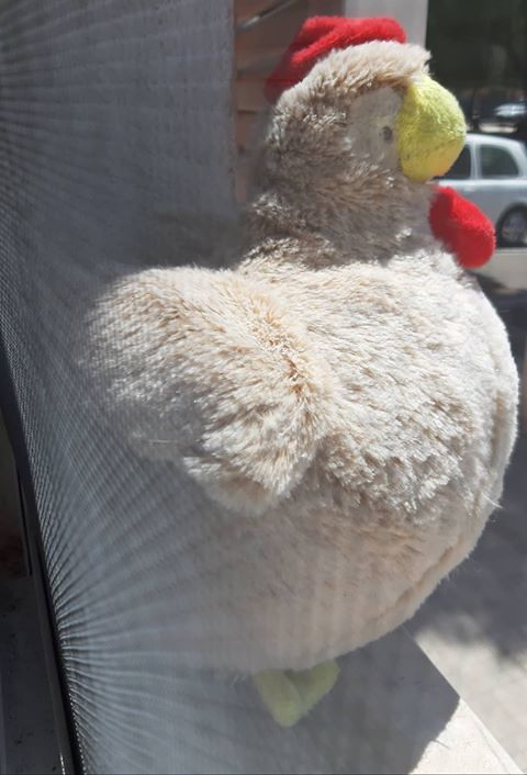 Il pelouche perduto in piazza San Bartolomeo: “Da qualche parte c’è un bambino dispiaciuto: lo troviamo?”