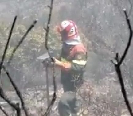 Raffica di incendi in Sardegna, fiamme a Narcao e Escalaplano: in salvo un bosco di pregio