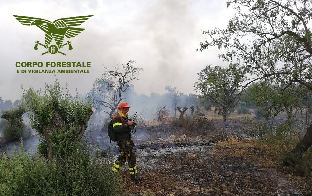 Mega incendio a Uta: in fiamme 15 ettari di campi di mandorli e eucaliptus