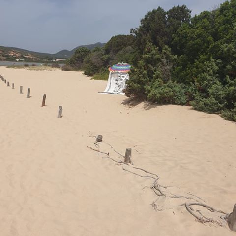 Le bellissime dune di Su Giudeu a Chia violate dai bagnanti incivili: tende nelle zone recintate
