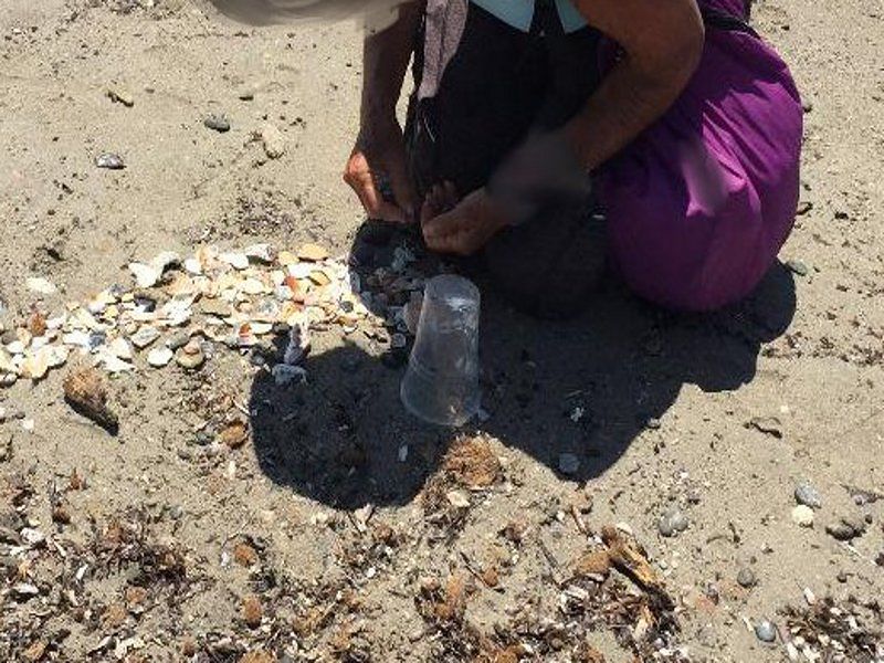 “Al Poetto di Cagliari la turista ladra di conchiglie, ho provato a bloccarla ma è stato inutile”