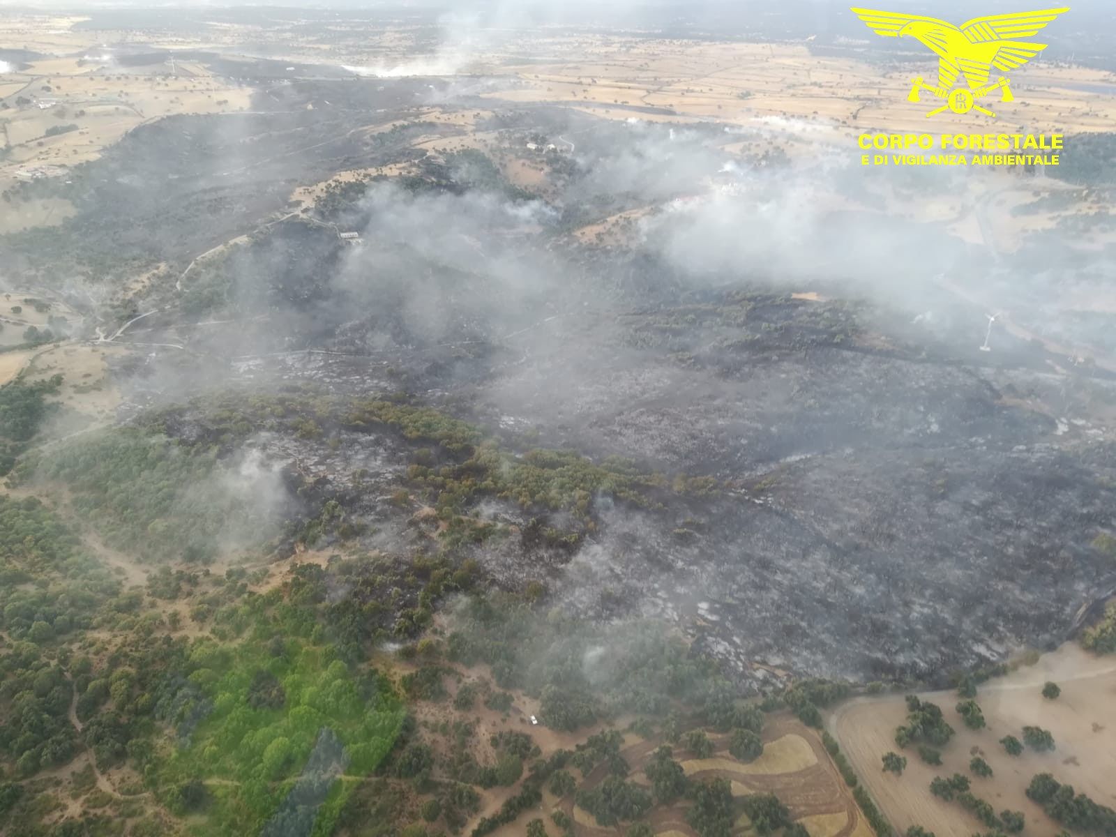 Fuoco “maledetto” a Bitti, 124 uomini in lotta contro maxi incendio: 500 ettari distrutti