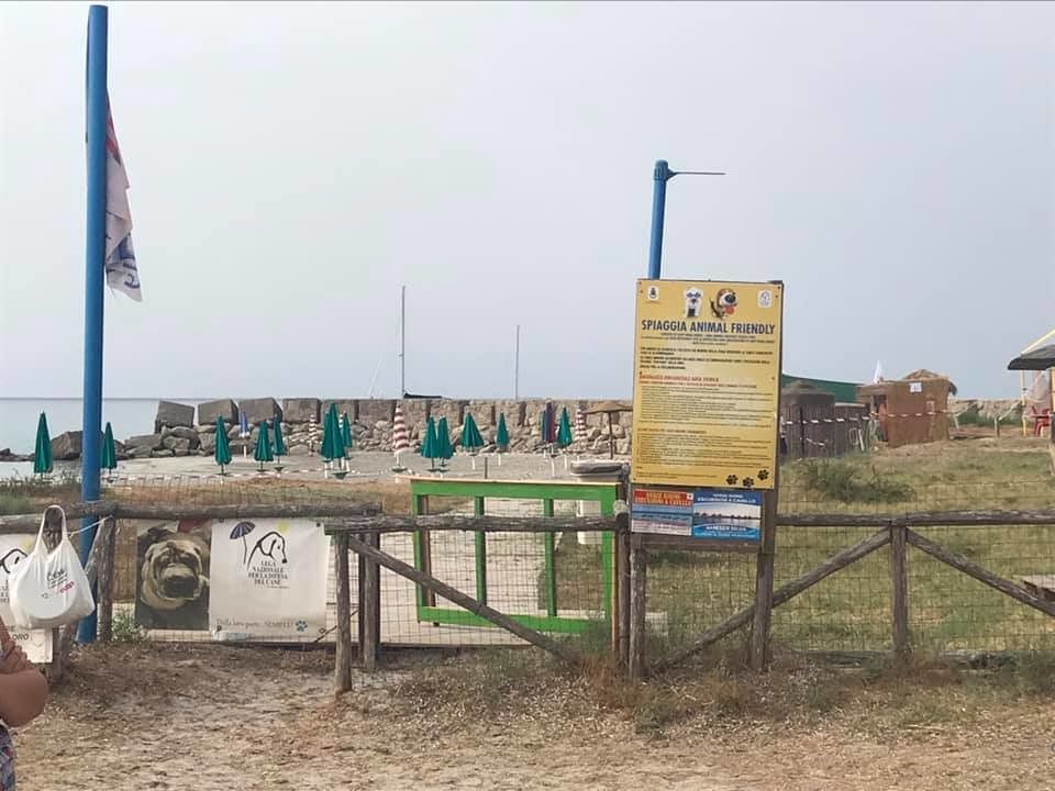 Porto Pino, sbarrata la spiaggia per cani: “Bel modo di distruggere la civiltà”
