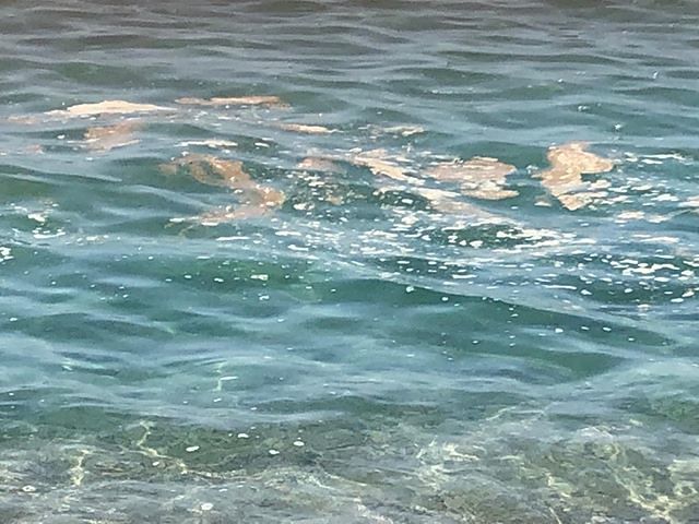 Schiuma nel mare di Solanas, bagnanti infuriati: “Impossibile tuffarsi in questo schifo”