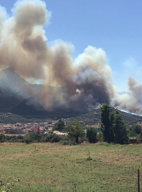Incendio a Torpè, fiamme in un cantiere: in azione due canadair e il Super Puma