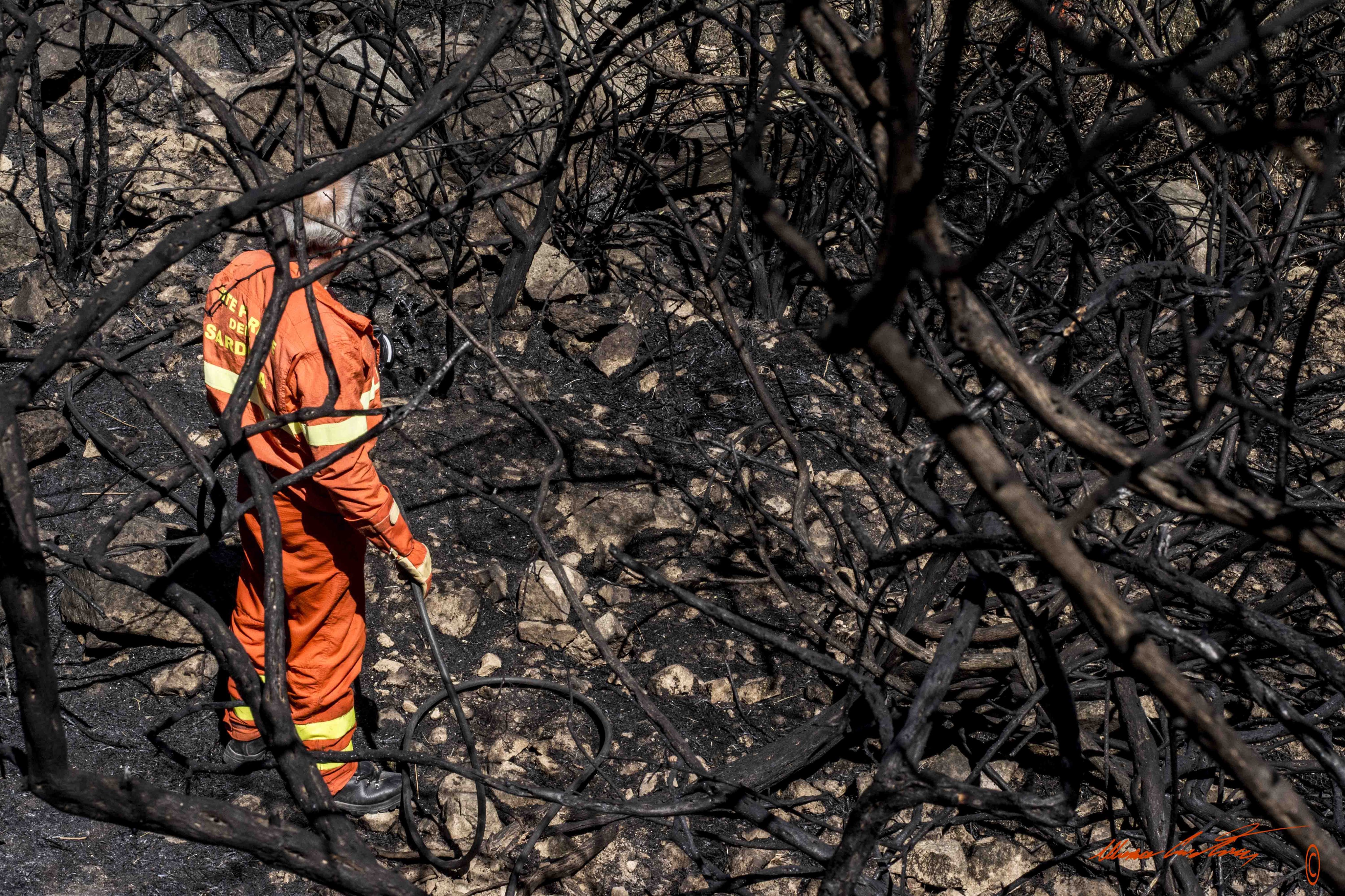 Forestas, sindacati in stato di agitazione: “Pronti allo sciopero”