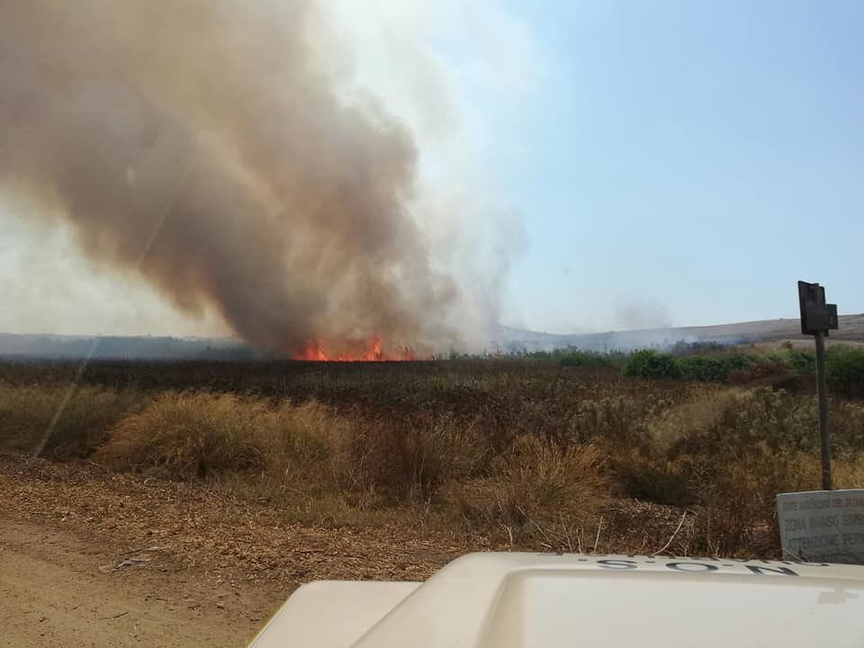Quartu, vasto incendio vicino al Simbirizzi: il fuoco divora canneti e sterpaglie
