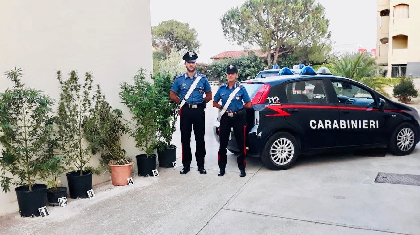 Sei piante di cannabis sul terrazzo di casa: nei guai 58enne a Pula