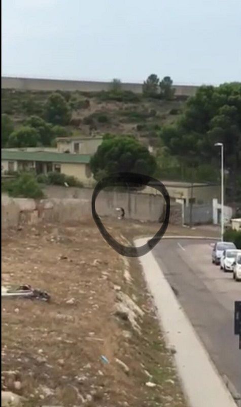 Cagliari, due “furbetti” della spazzatura in azione in via Fasano: beccati in un video