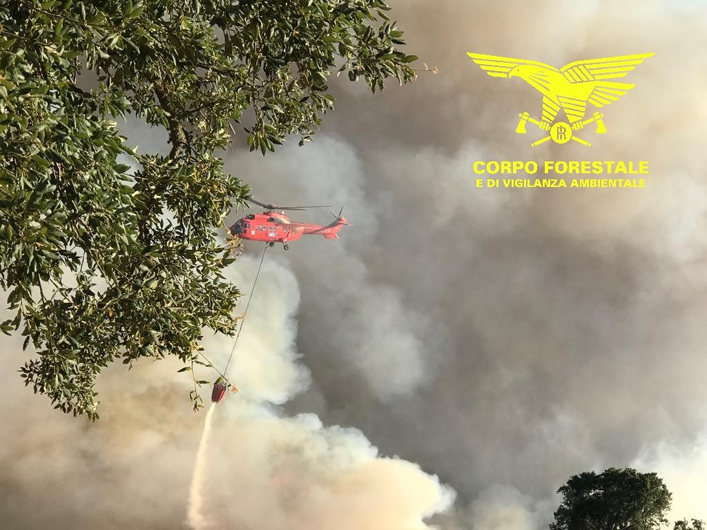 Incendio a Buddusò, le fiamme alimentate dal forte vento fanno paura