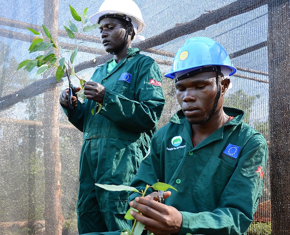 Cooperazione internazionale, AVSI a Cagliari per un incontro sull’educazione al lavoro nei paesi africani