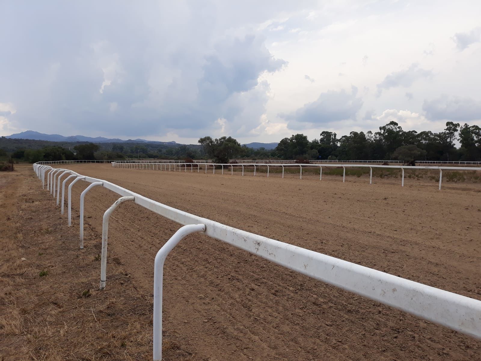 Palio delle Amazzoni, ad Arzachena si riaccende la tradizione equestre