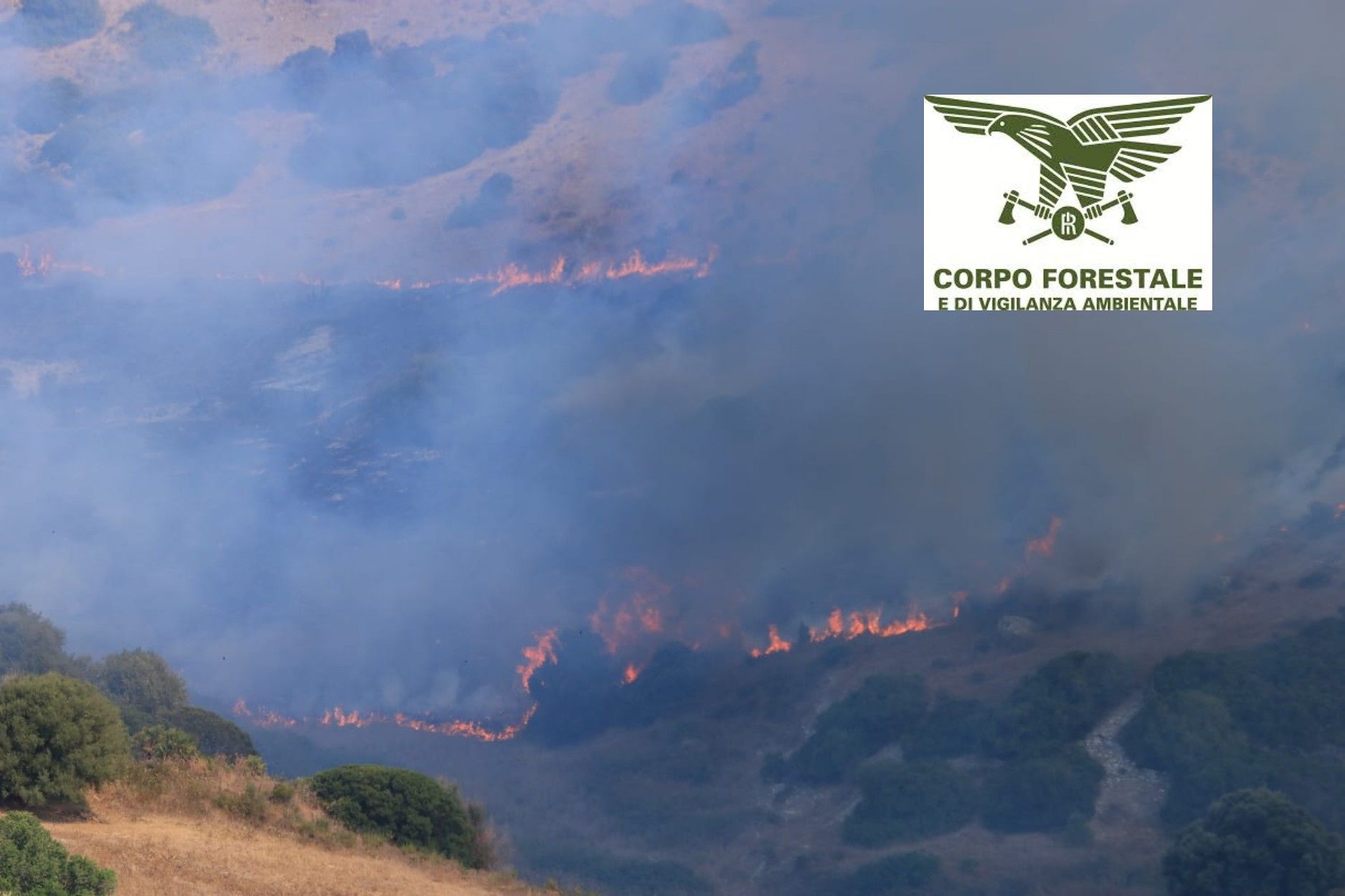 Ancora roghi in Sardegna, fiamme a Serri e Castelsardo: elicotteri in azione