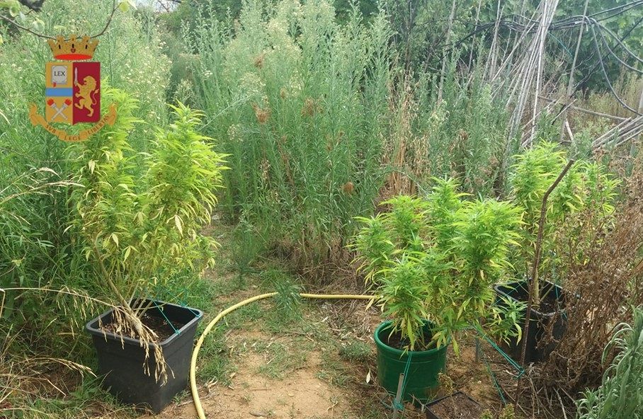 Quartucciu, giovane in arresto per produzione e detenzione di stupefacenti