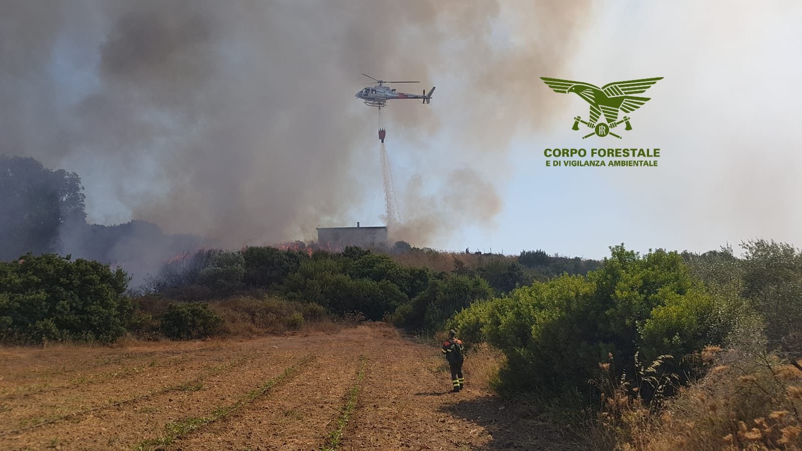 Fiamme a Villamar, intervento dei Forestali in corso
