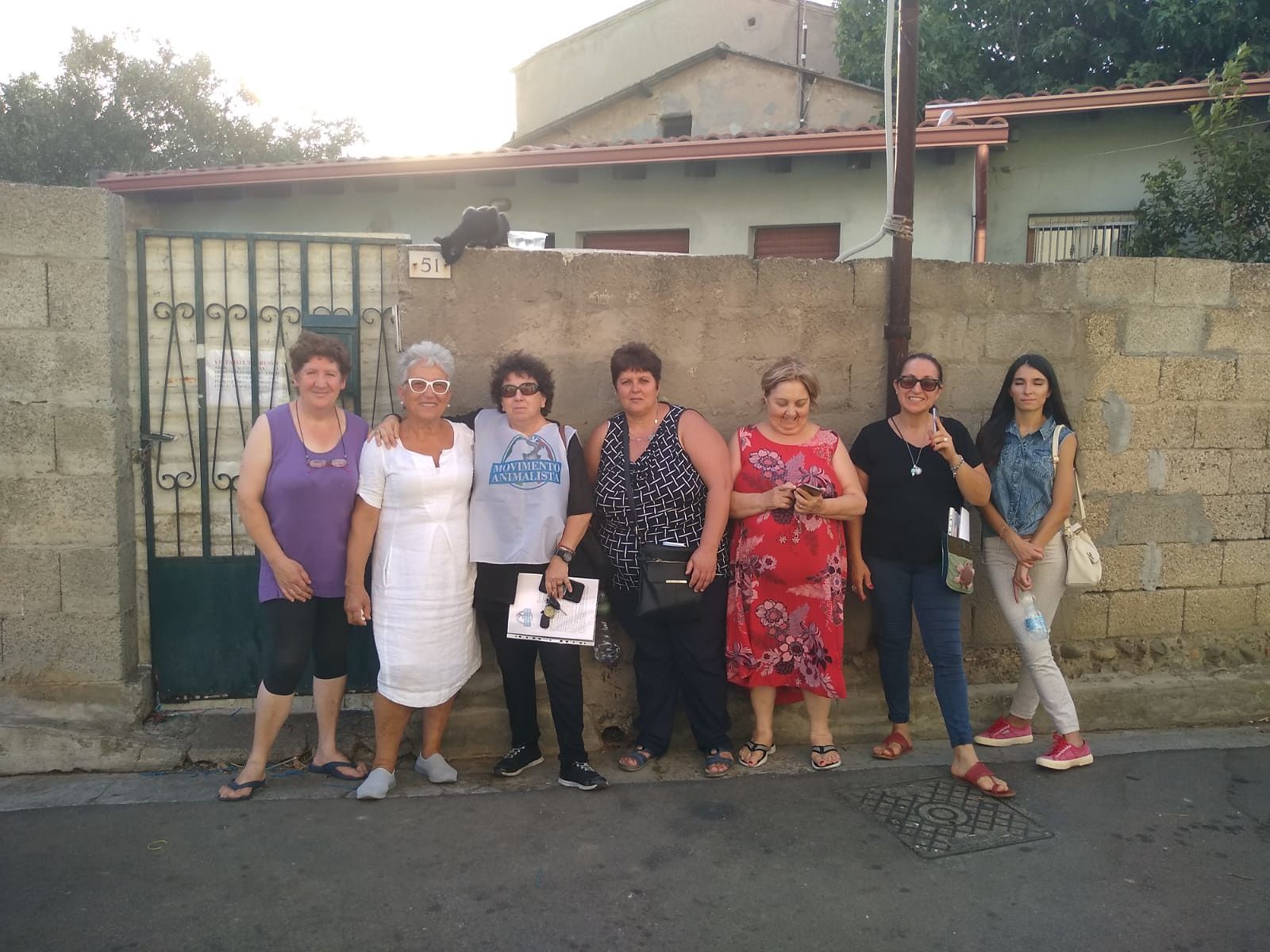 “A Decimomannu 20 gatti abbandonati e chiusi dentro una casa anche durante una disinfestazione”