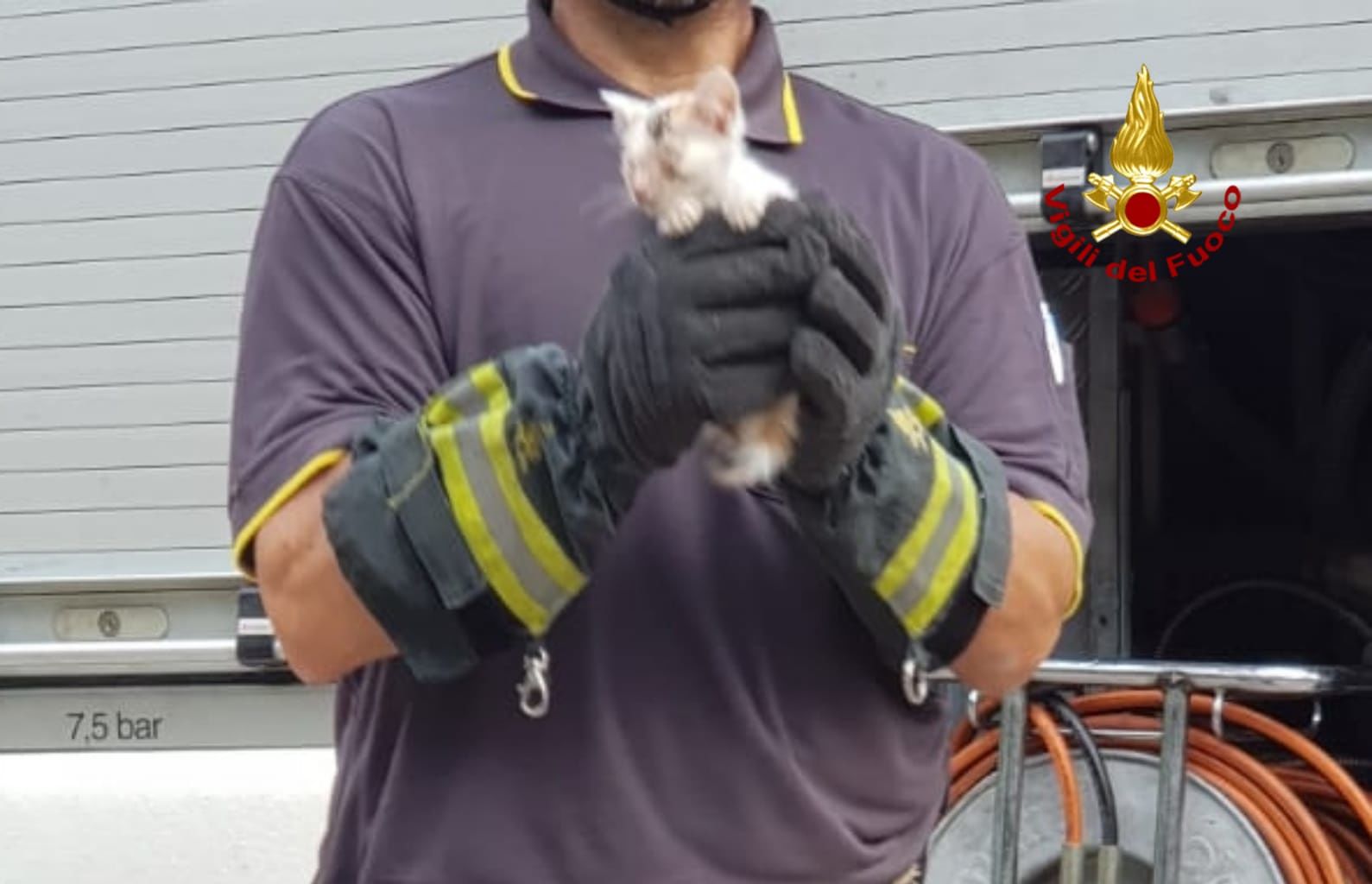 Gattino cade dentro un canale di scolo a Masua, salvato dai Vigili del fuoco