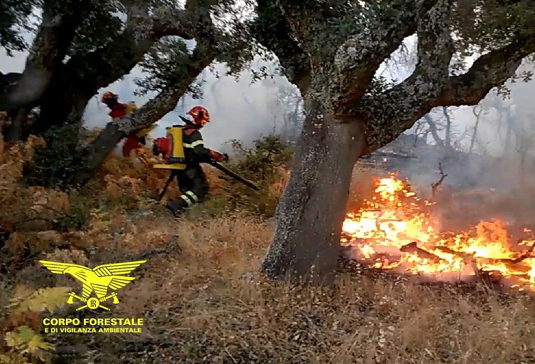 Il fuoco devasta anche Orani e Macomer, è un Ferragosto da incubo